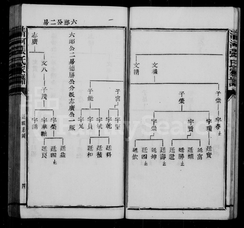 图片[8]-福建三明宁化县清河张氏家谱电子版PDF下载-中华家谱网