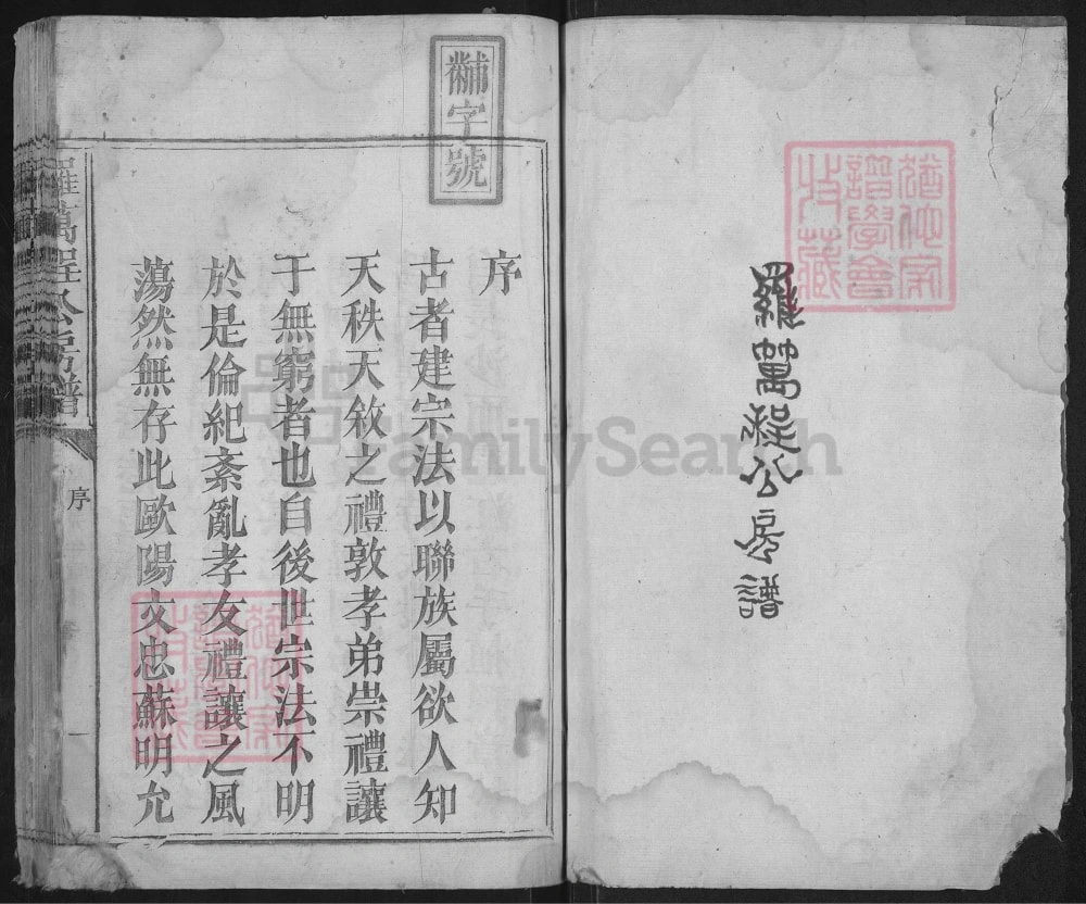 图片[2]-江西抚州宜黄罗氏万程公房谱电子版PDF下载-中华家谱网