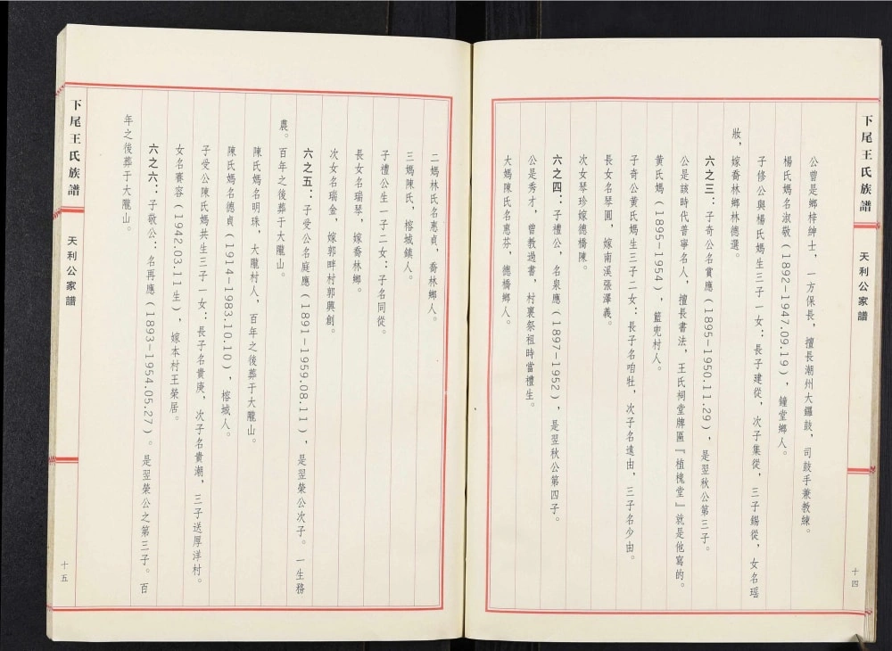 图片[6]-广东揭阳下尾王氏族谱天利公家谱电子版PDF下载-中华家谱网