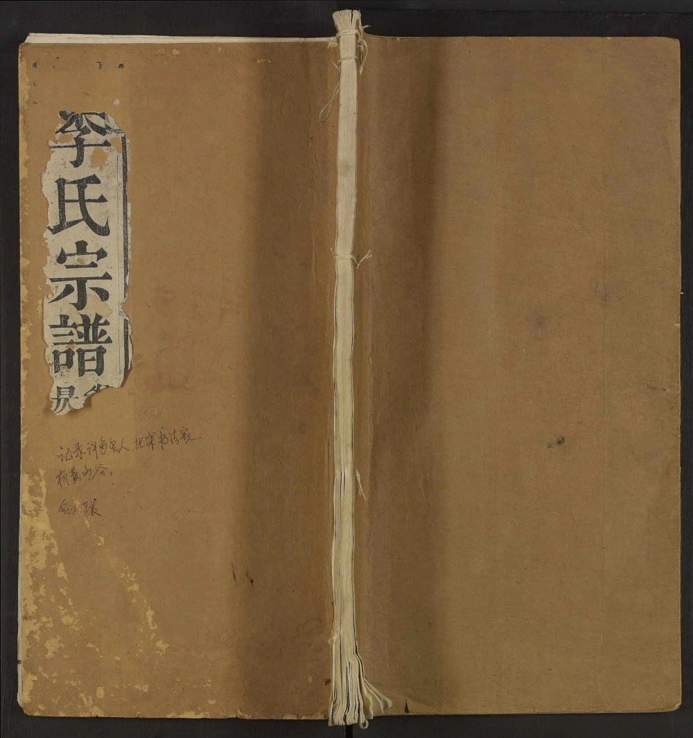 图片[1]-安徽六安舒城李氏宗谱电子版PDF下载-中华家谱网