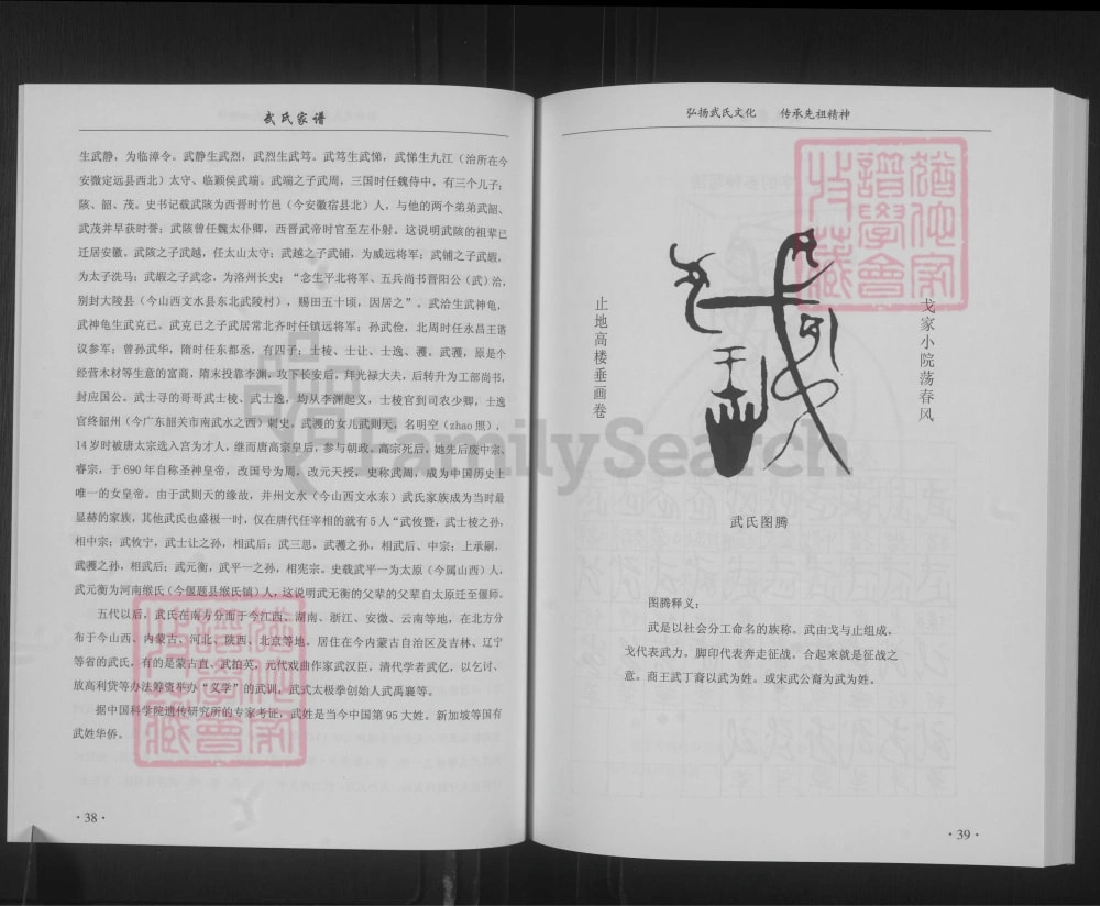 图片[6]-山西古交村武氏家谱电子版PDF下载-中华家谱网