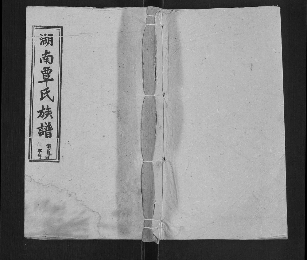 图片[1]-湖南邵阳覃氏四修族谱电子版PDF下载-中华家谱网