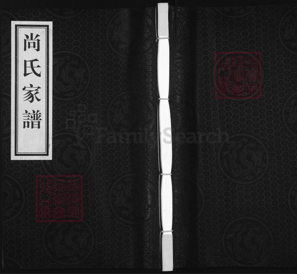 图片[1]-河北黄骅尚氏家谱电子版PDF下载-中华家谱网