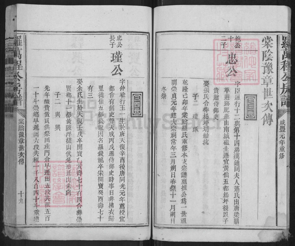 图片[4]-江西抚州宜黄罗氏万程公房谱电子版PDF下载-中华家谱网