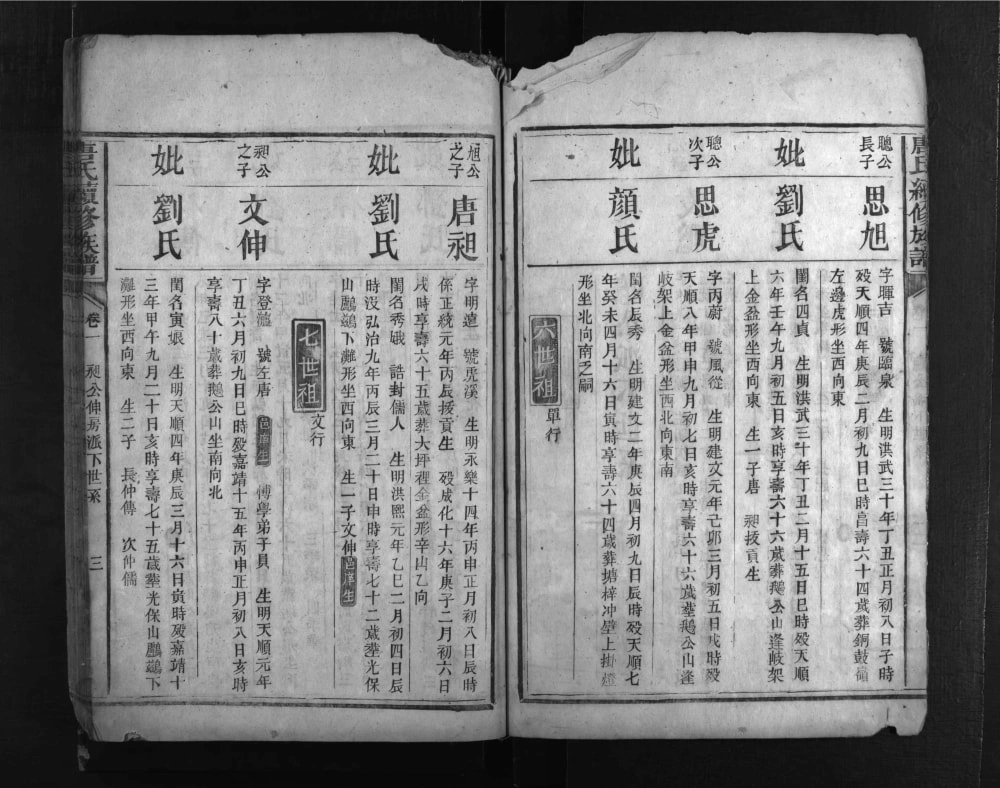 图片[8]-湖南郴州永兴唐氏家乘电子版PDF下载-中华家谱网