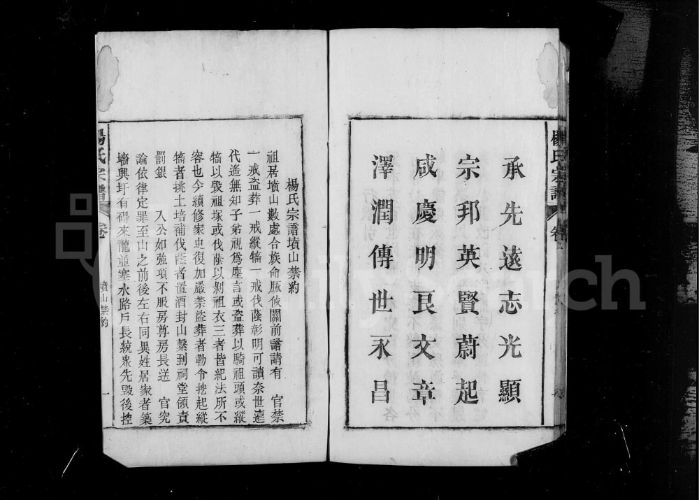 图片[3]-安徽桐城皖桐杨氏宗谱电子版PDF下载-中华家谱网