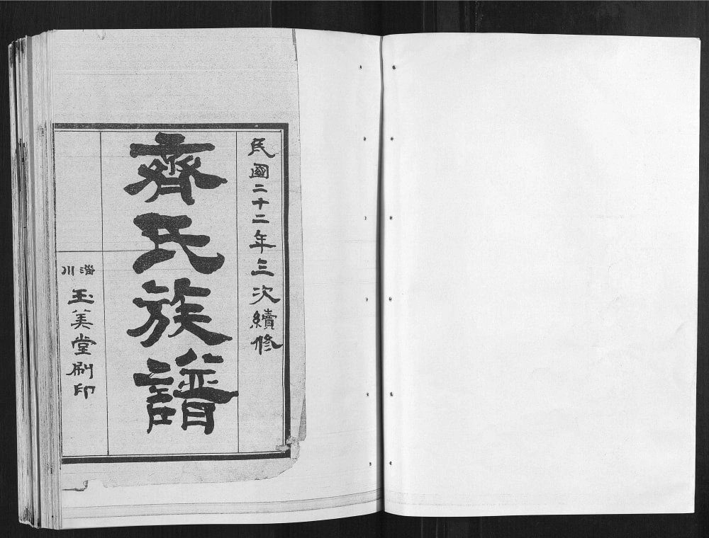 图片[2]-山东临沂蒙阴县齐氏族谱电子版PDF下载-中华家谱网