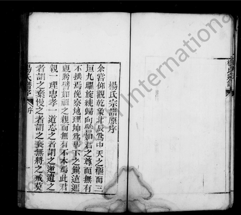 图片[3]-安徽桐城弘农杨氏家乘电子版PDF下载-中华家谱网