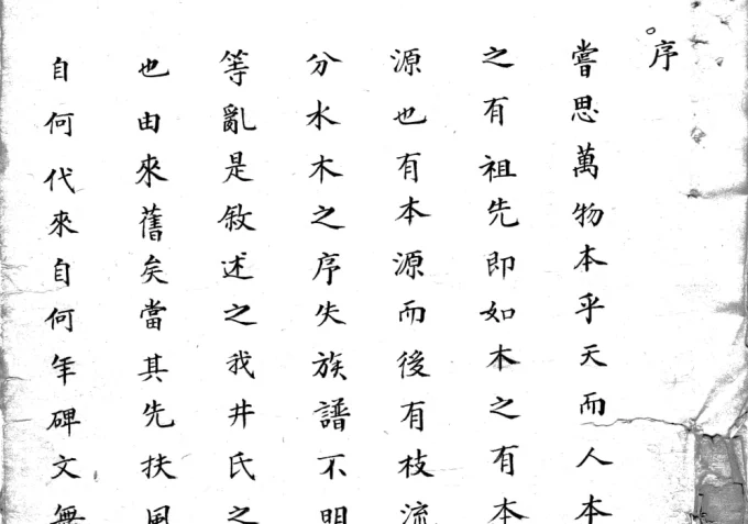 山东潍坊临朐井氏祖谱-中华家谱网