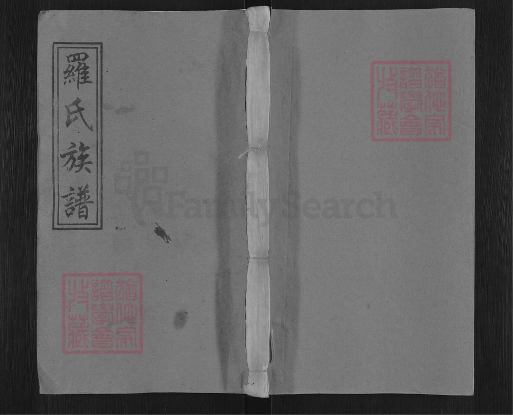 图片[1]-江西万载宜春分宜上高袁州罗宗庆祠五修族谱（豫章堂）电子版PDF下载-中华家谱网