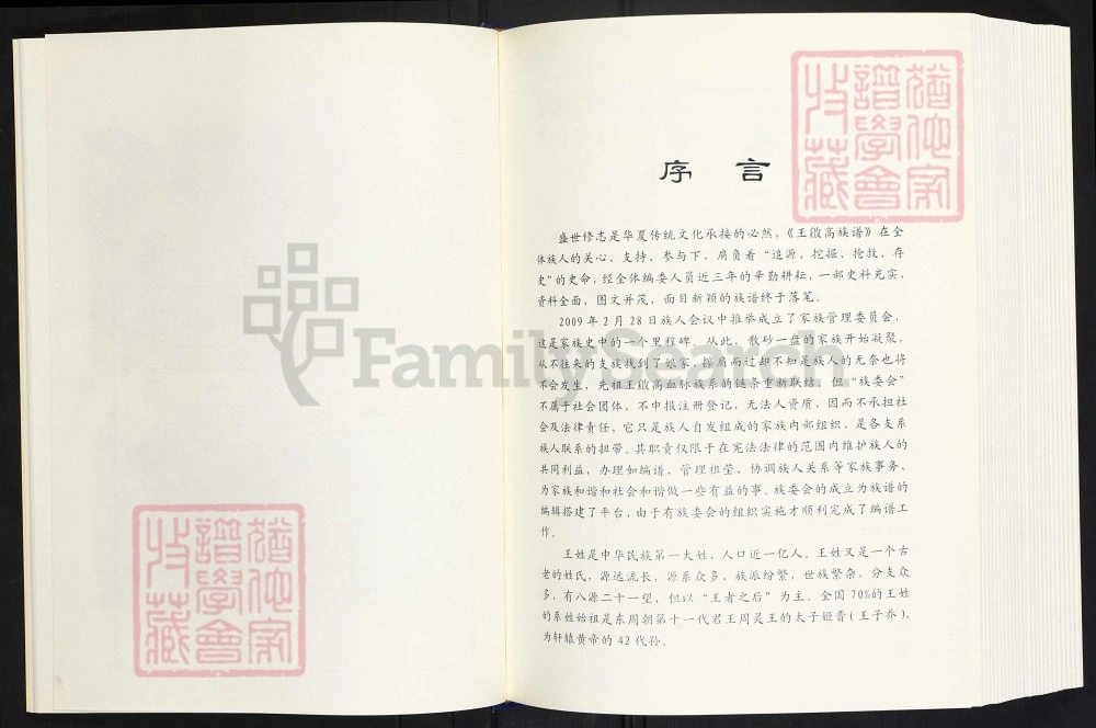 图片[2]-云南曲靖师宗县王启高族谱电子版PDF下载-中华家谱网