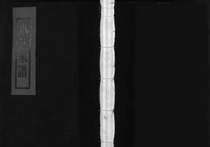 浙江温州平阳县长山武氏宗谱电子版PDF下载-中华家谱网