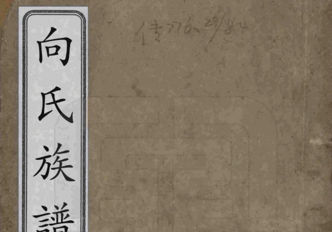 湖南岳阳湘阴向氏族谱-中华家谱网
