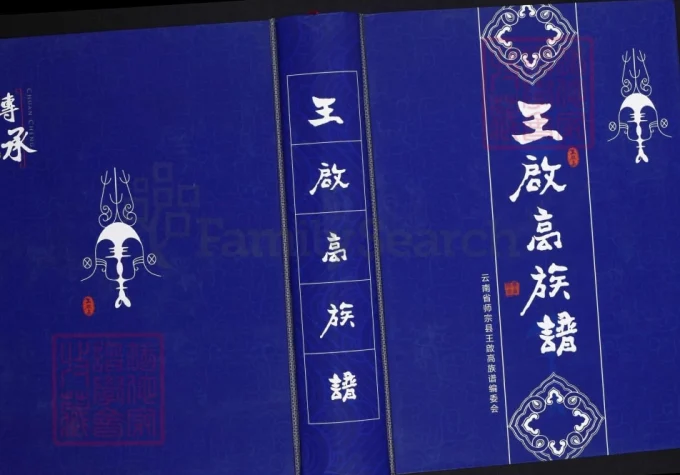 云南曲靖师宗县王启高族谱-中华家谱网