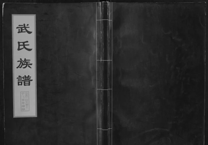 山东肥城武氏族谱（广孝思堂）电子版PDF下载-中华家谱网