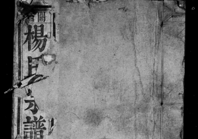 安徽芜湖南陵县关西杨氏宗谱（叙伦堂）-中华家谱网