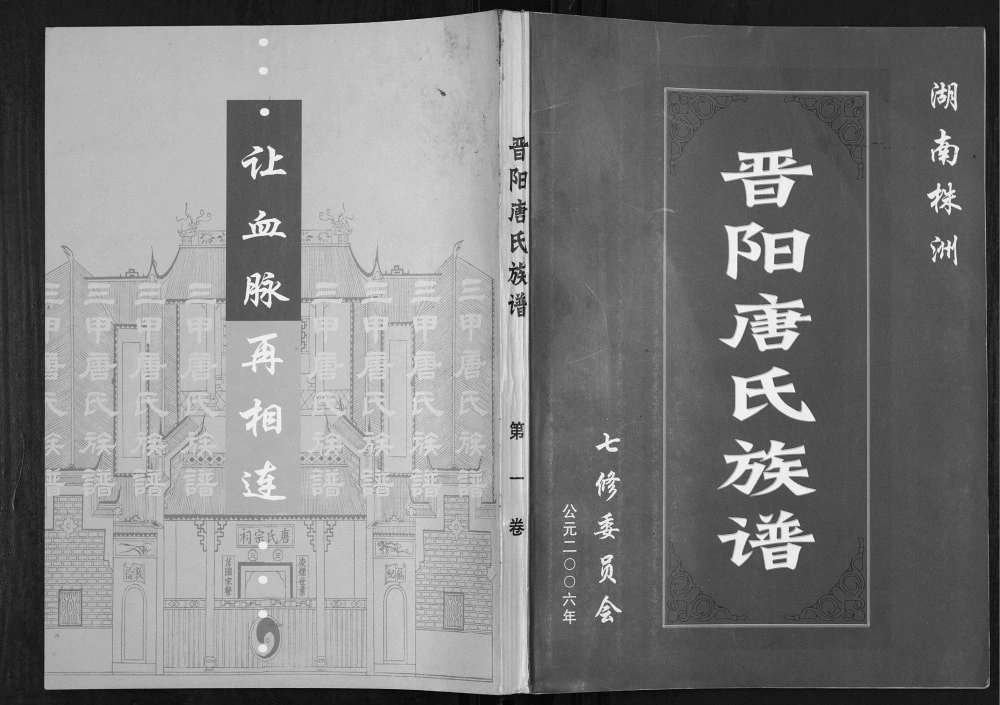 图片[1]-湖南株洲晋阳唐氏族谱电子版PDF下载-中华家谱网