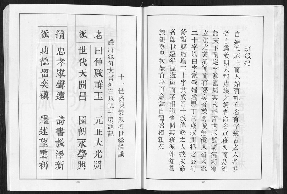 图片[4]-重庆万州新袁袁家桥陈氏族谱电子版PDF下载-中华家谱网