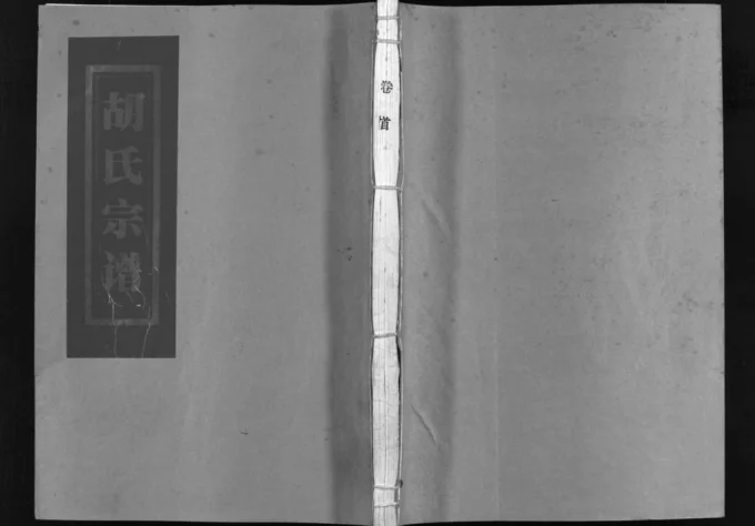 浙江乐清杏庄胡氏宗谱电子版PDF下载-中华家谱网