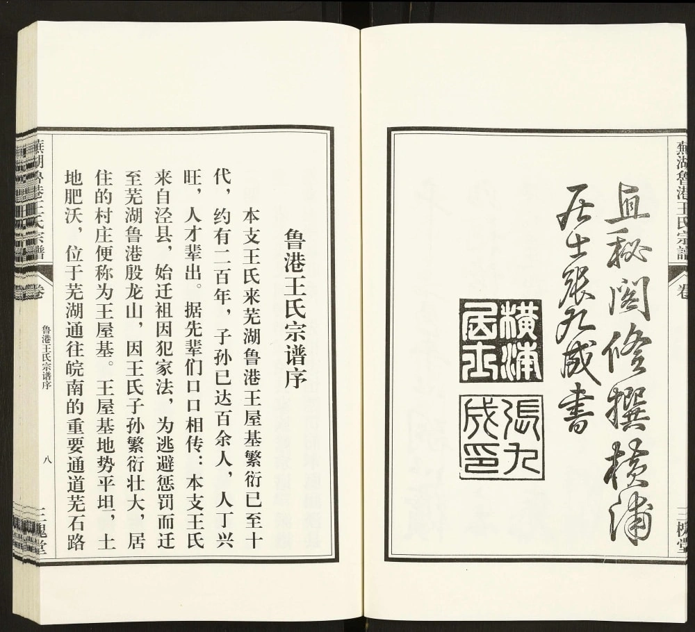 图片[4]-安徽芜湖鲁港王氏宗谱（三槐堂）电子版PDF下载-中华家谱网