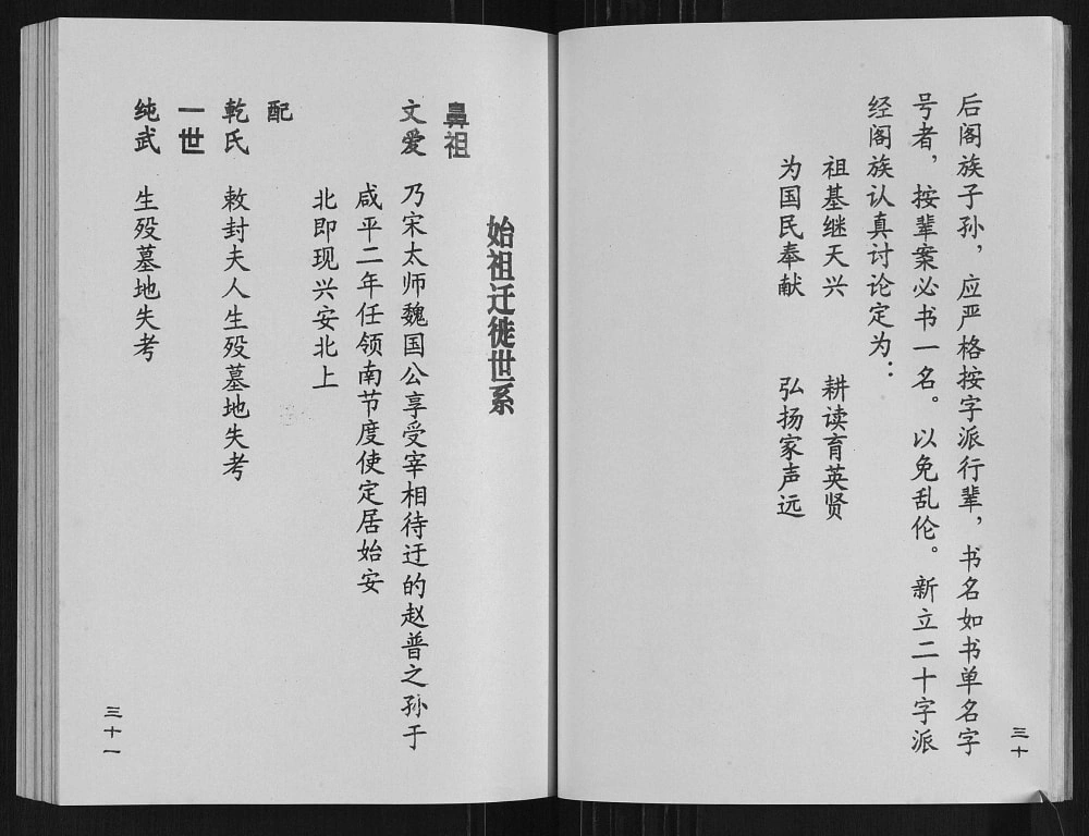 图片[5]-广西桂林兴安县南子桥赵氏宗谱电子版PDF下载-中华家谱网