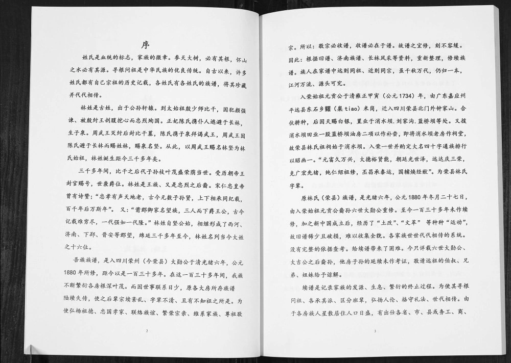 图片[3]-四川自贡荣县林氏族谱电子版PDF下载-中华家谱网