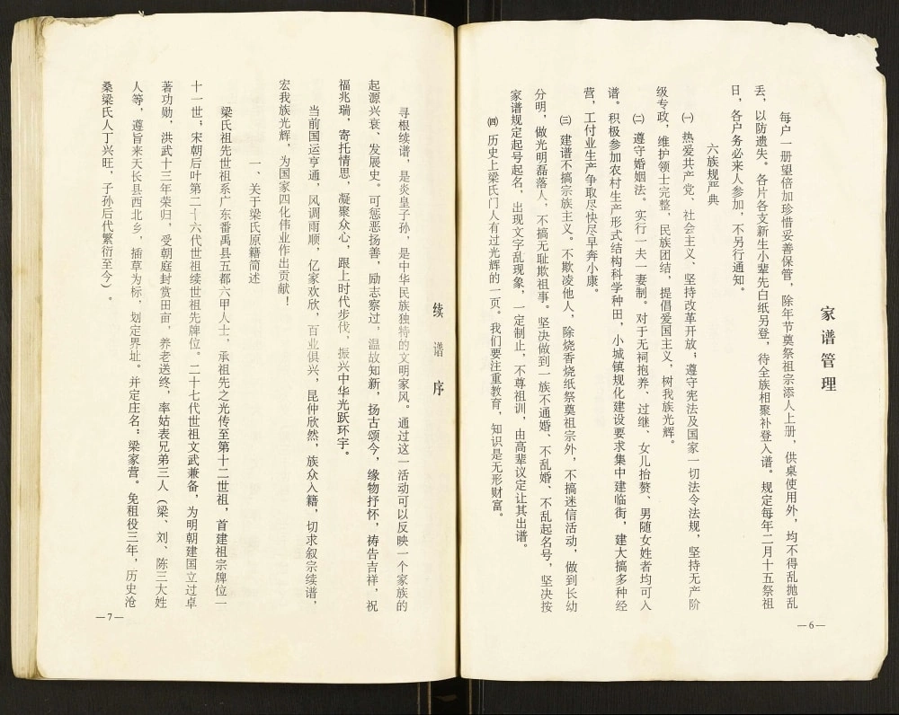 图片[3]-安徽天长梁氏家谱（守己堂、积庆堂）电子版PDF下载-中华家谱网