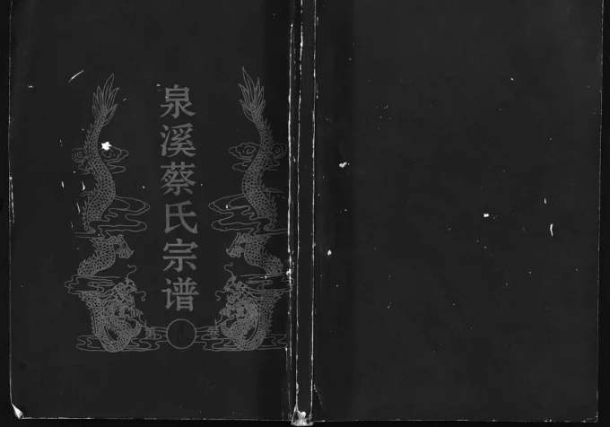 浙江金华武义泉溪蔡氏宗谱电子版PDF下载-中华家谱网