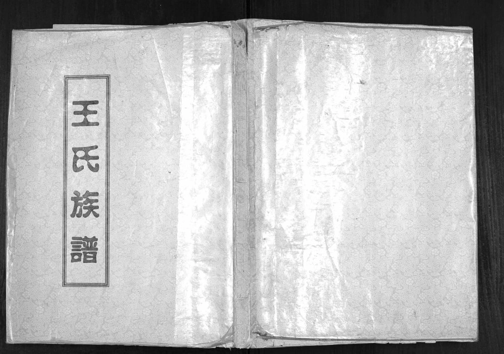 图片[1]-山东济宁微山县王氏族谱电子版PDF下载-中华家谱网