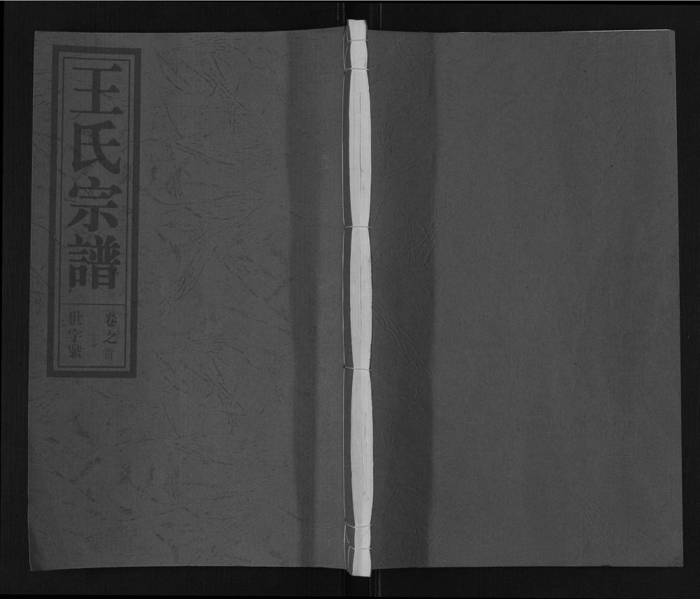 图片[1]-安徽合肥肥东县王氏宗谱（三槐堂）电子版PDF下载-中华家谱网