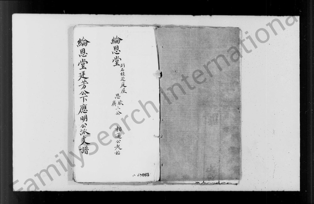 图片[1]-李氏纶恩堂廷芳公下应明公派支谱电子版PDF下载-中华家谱网