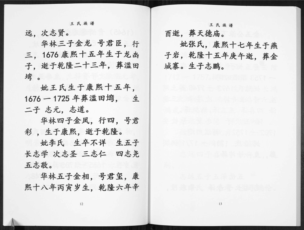 图片[5]-重庆渝北区王氏族谱电子版PDF下载-中华家谱网