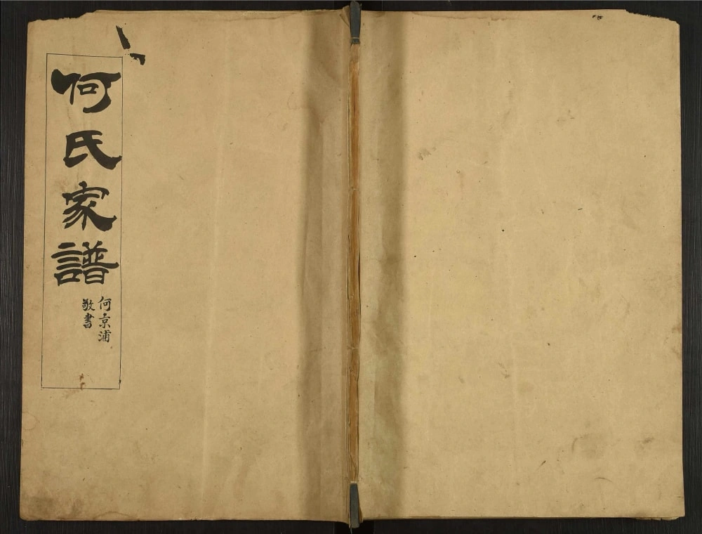 图片[1]-山东泰安东平县何氏家谱电子版PDF下载-中华家谱网