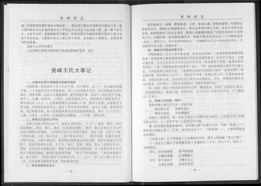 图片[3]-福建南安贵峰王氏族志电子版PDF下载-中华家谱网