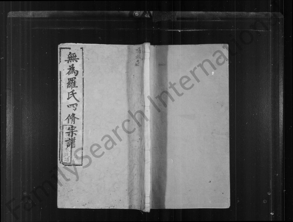 图片[1]-安徽无为罗氏四修宗谱（柏林堂）电子版PDF下载-中华家谱网