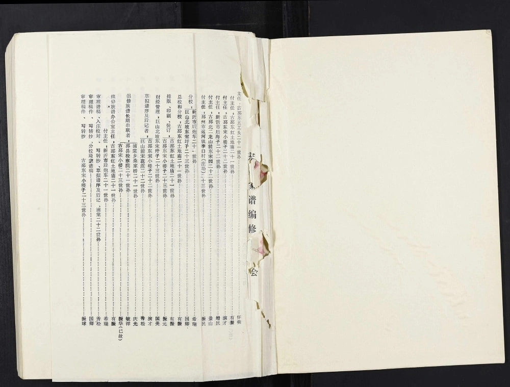 图片[2]-江苏邳州宋氏族谱（京兆堂）电子版PDF下载-中华家谱网