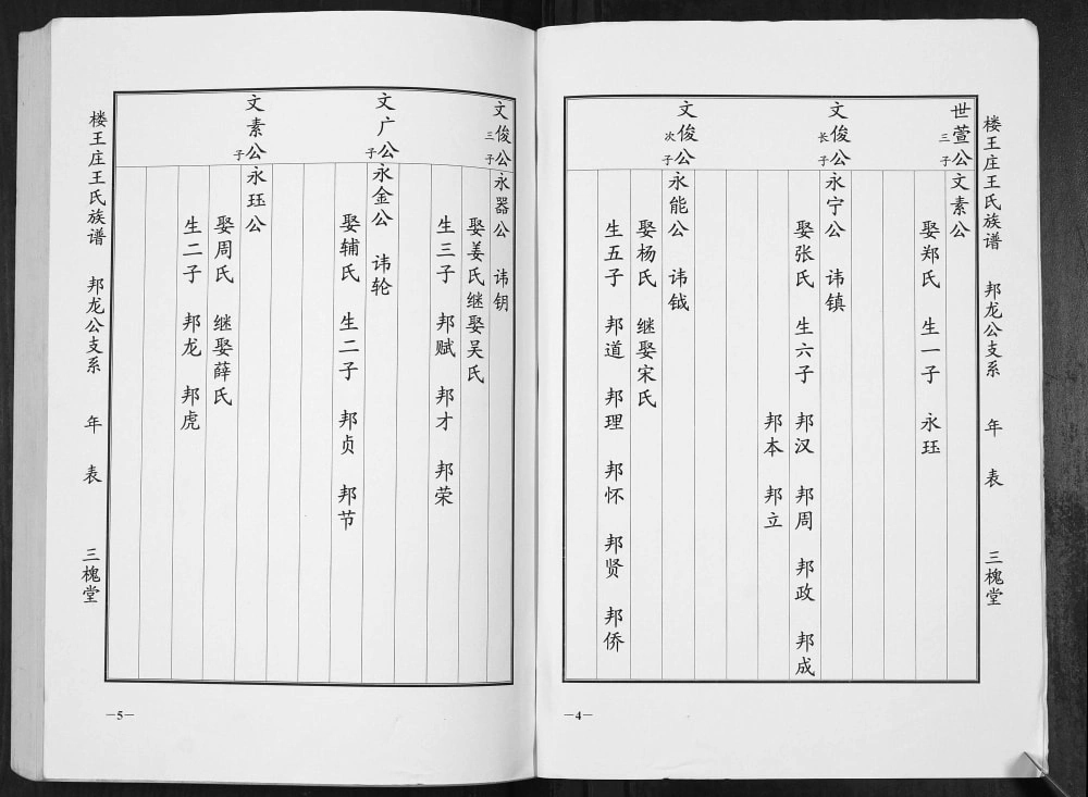 图片[7]-江苏盐城楼王庄王氏族谱（三槐堂）电子版PDF下载-中华家谱网