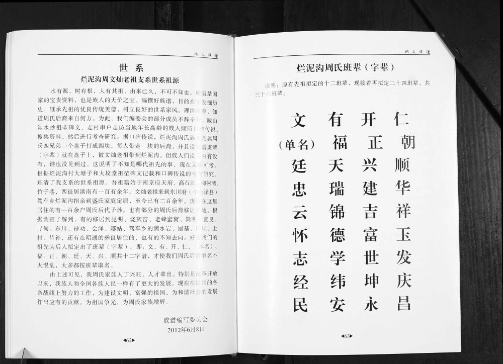 图片[6]-云南曲靖会泽周氏族谱烂泥沟卷电子版PDF下载-中华家谱网