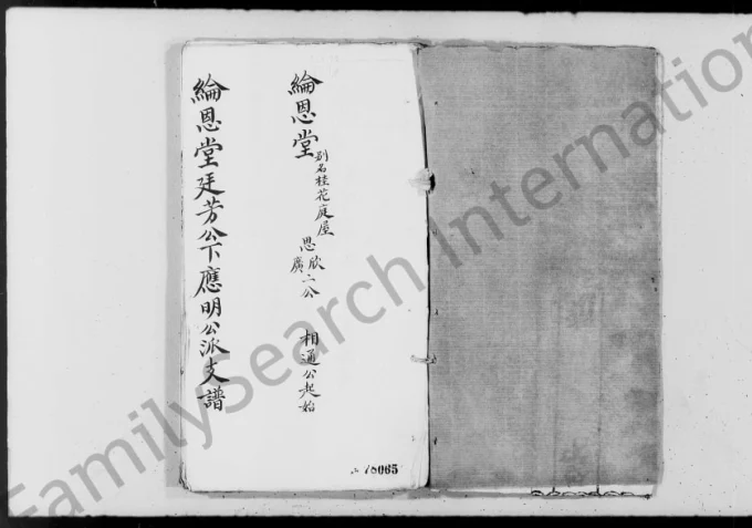 李氏纶恩堂廷芳公下应明公派支谱电子版PDF下载-中华家谱网
