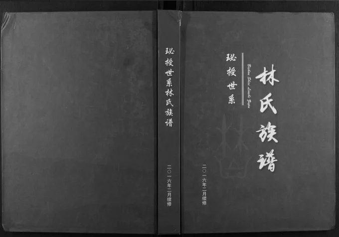 湖南永州东安县珌授世系林氏族谱电子版PDF下载-中华家谱网