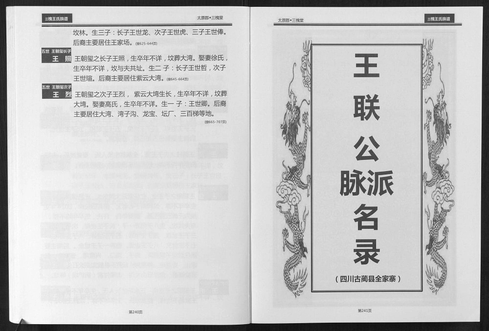 图片[8]-贵州仁怀王氏族谱（三槐堂）电子版PDF下载-中华家谱网