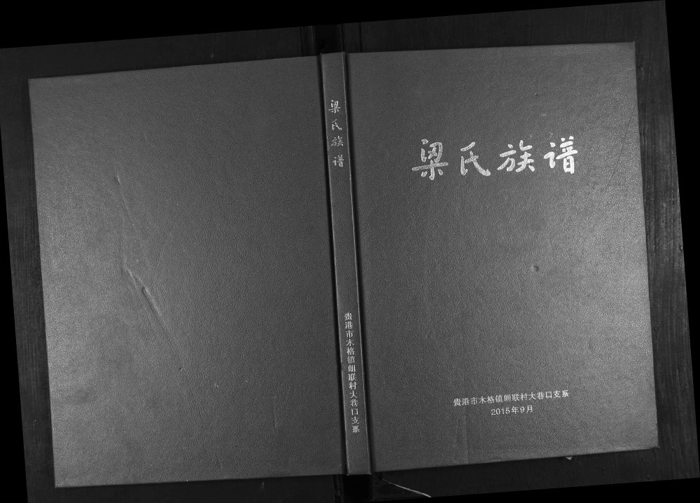 图片[1]-广西贵港梁氏族谱电子版PDF下载-中华家谱网