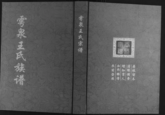 山东诸城雩泉王氏族谱电子版PDF下载-中华家谱网