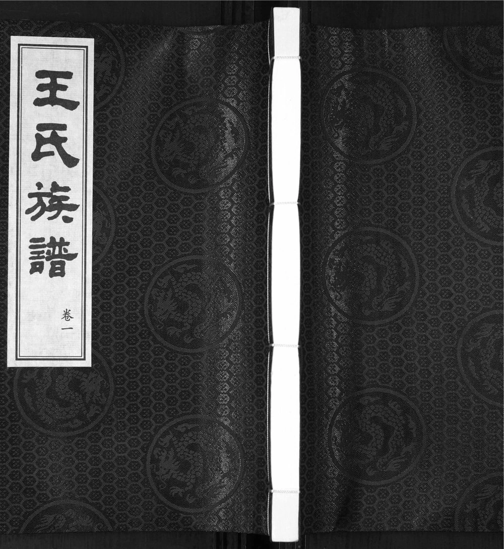 图片[1]-山东青岛即墨琅琊王氏族谱电子版PDF下载-中华家谱网