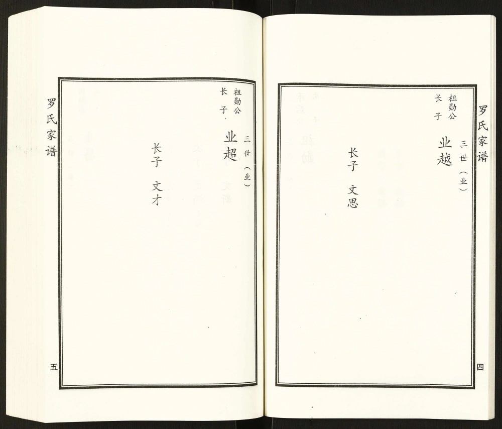 图片[6]-河北泊头罗氏民俯公家族谱（太和堂）电子版PDF下载-中华家谱网