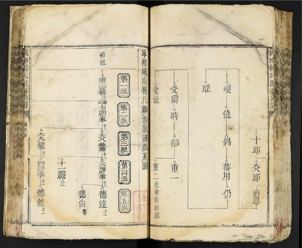 图片[4]-江西赣州宁都城南杨氏麟房族谱电子版PDF下载-中华家谱网