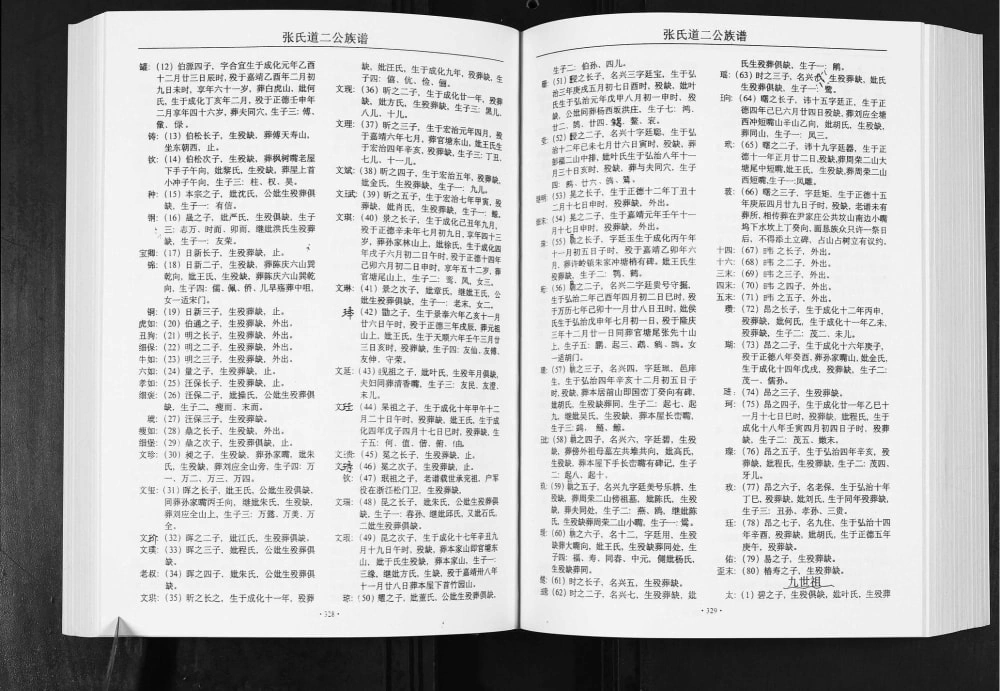 图片[6]-安徽安庆宿松县张氏道二公族谱（怀德堂）电子版PDF下载-中华家谱网