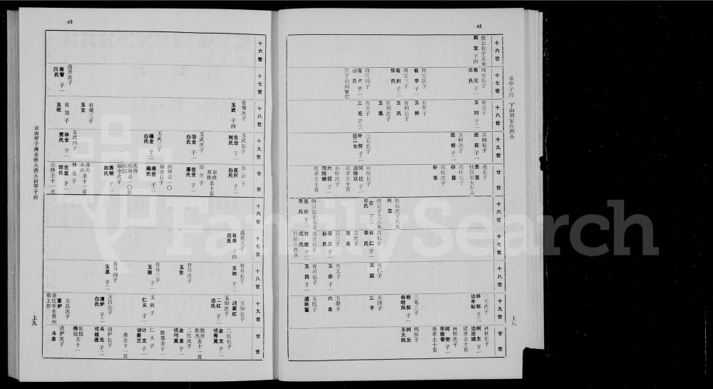 图片[8]-山西忻州五台县王氏宗谱电子版PDF下载-中华家谱网