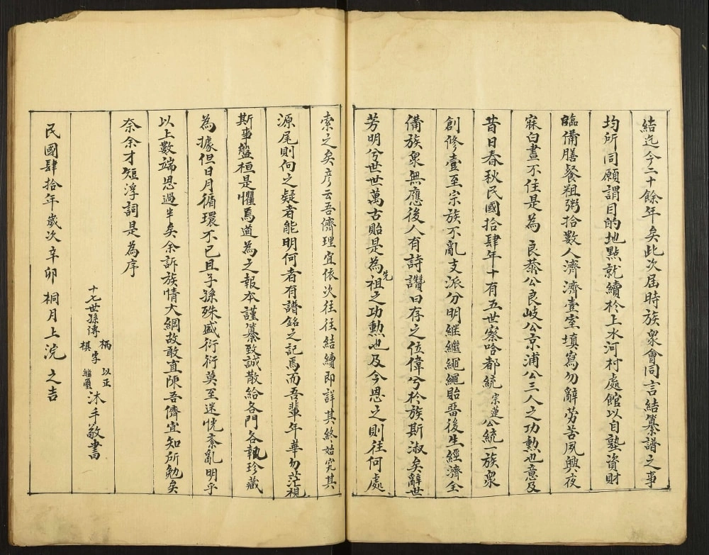 图片[3]-山东泰安东平县何氏家谱电子版PDF下载-中华家谱网