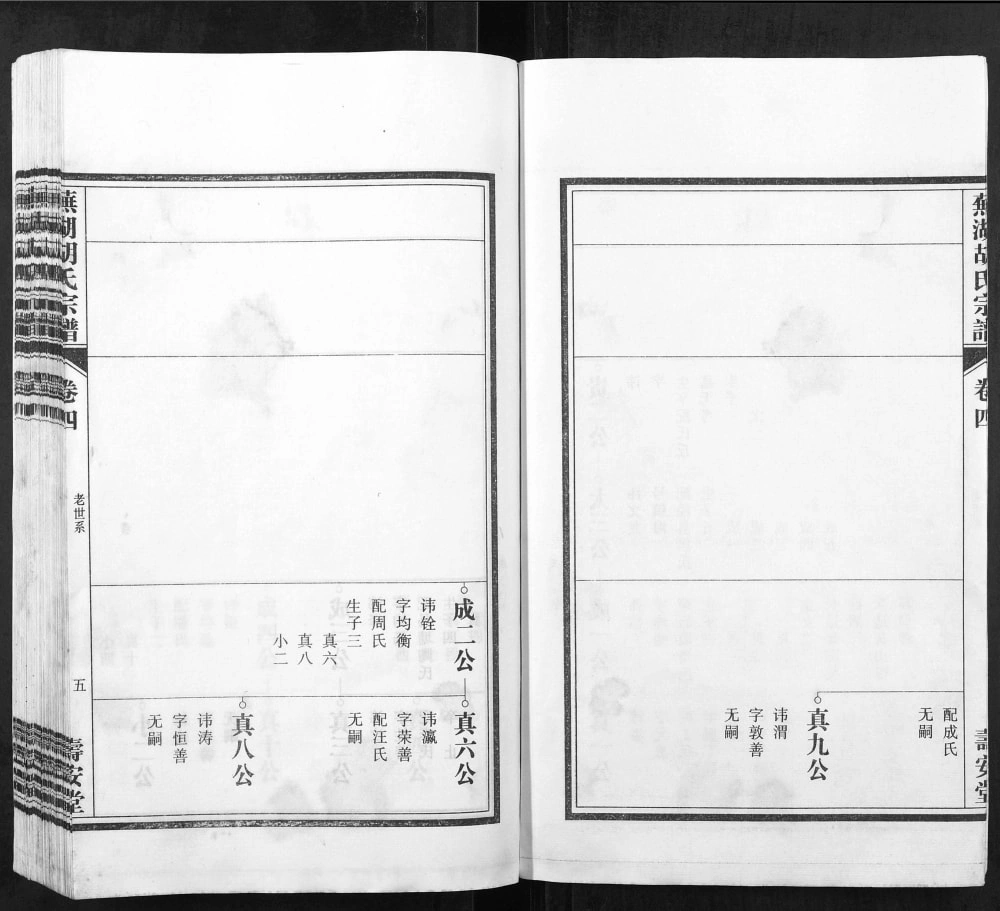 图片[8]-安徽芜湖胡氏宗谱（寿安堂）电子版PDF下载-中华家谱网